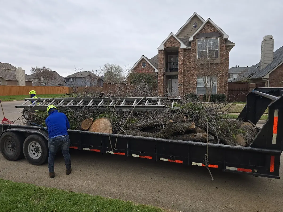 Expert Tree Fertilization with proper safety equipment in Wetmore